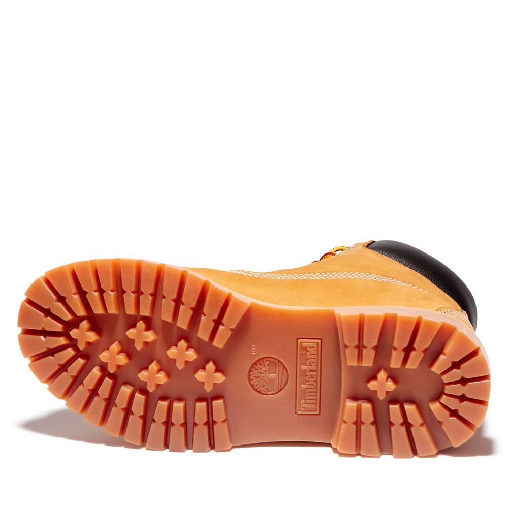 Timberland Womens 6-Inch Boots Premium Waterproof - Brown - India LK8076259